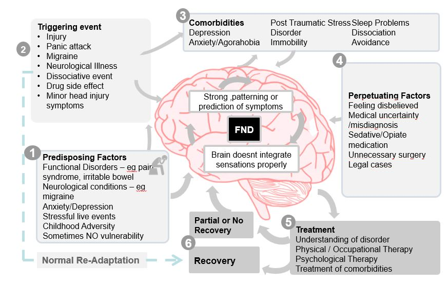 FND Infographic